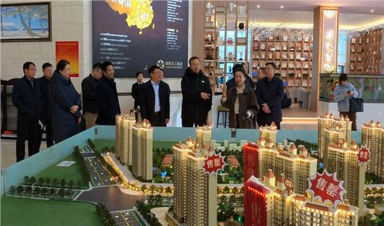 哈密市領導調研湘恒房地產項目 哈密市領導調研湘恒房地產項目