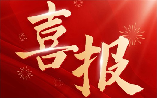 集團榮膺2025中國民營企業500強第249位,制造業民營企業500強第177位,排名較去年雙雙大幅提升 集團榮膺2025中國民營企業500強第249位,制造業民營企業500強第177位,排名較去年雙雙大幅提升